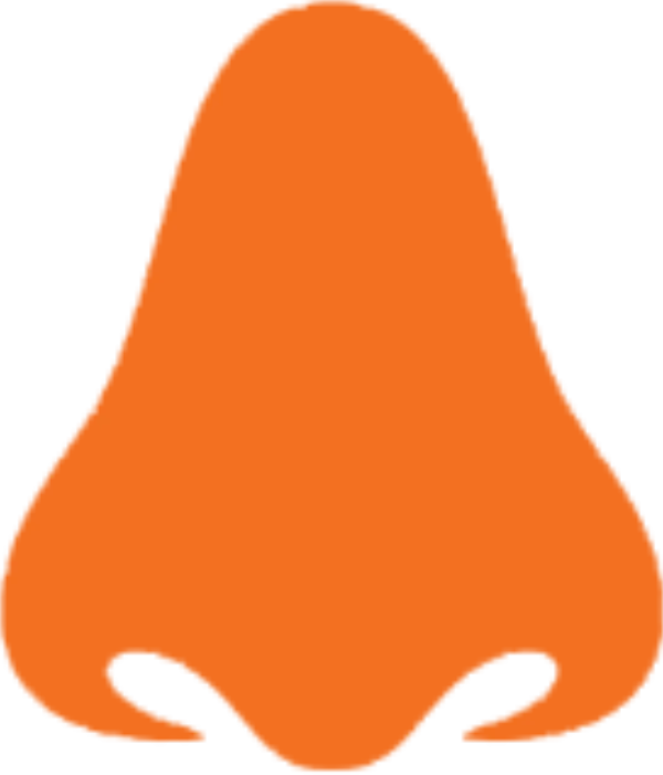 Nasenatmung Dentosophie Dr Bayer